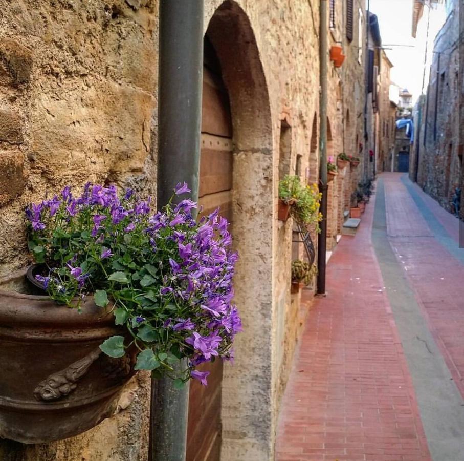 Agriturismo Alchimista Casole dʼElsa Eksteriør billede