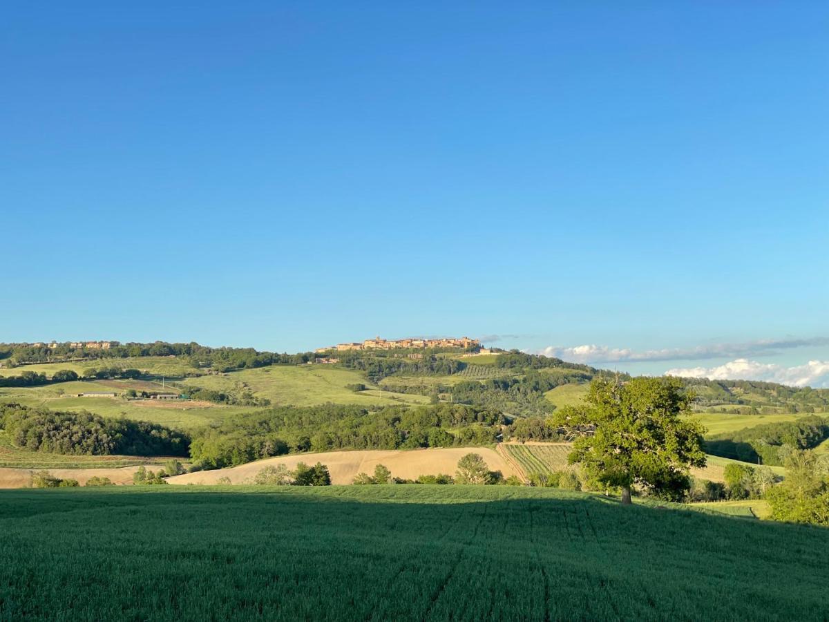 Agriturismo Alchimista Casole dʼElsa Eksteriør billede